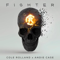 Thumbnail for the Cole Rolland - Fighter link, provided by host site