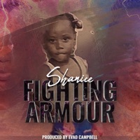 Thumbnail for the Shanice - Fighting Armour link, provided by host site