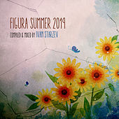 Thumbnail for the Various Artists - Figura Summer 2019 (compiled & mixed by Ivan Starzev) link, provided by host site