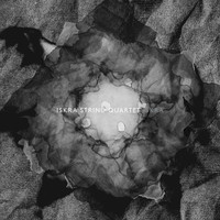 Thumbnail for the Ólafur Arnalds - Film Credits (Arr. For String Quartet) link, provided by host site