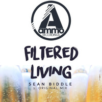 Thumbnail for the Sean Biddle - Filtered Living (Original Mix) link, provided by host site