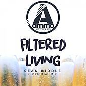 Thumbnail for the Sean Biddle - Filtered Living (Original Mix) link, provided by host site