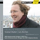 Thumbnail for the Stuttgart Southwest Radio Vocal Ensemble - Final link, provided by host site