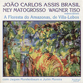 Thumbnail for the João Carlos Assis Brasil - Final link, provided by host site