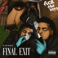 Thumbnail for the P Yungin - Final Exit link, provided by host site
