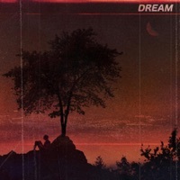 Thumbnail for the sapientdream - Find link, provided by host site