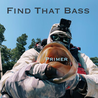 Thumbnail for the Primer - Find That Bass link, provided by host site