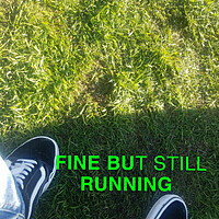 Thumbnail for the Rabbit - FINE BUT STILL RUNNING link, provided by host site