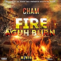 Thumbnail for the Cham - Fire Aguh Bun link, provided by host site