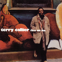 Thumbnail for the Terry Callier - Fire On Ice link, provided by host site