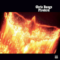 Thumbnail for the Chris Bangs - Firebird link, provided by host site