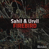 Thumbnail for the Sahil & Urvil - Firebird link, provided by host site