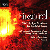 Thumbnail for the BBC National Orchestra of Wales - Firebird link, provided by host site
