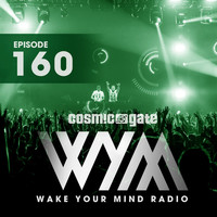 Thumbnail for the Cosmic Gate - Fireflies (WYM160) - Hexlogic Remix link, provided by host site