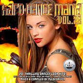 Thumbnail for the DJ Shog - Fireflight (DJ SHOG Mix) link, provided by host site