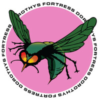 Thumbnail for the Dorothys Fortress - Firefox (Gerd Janson Remix) link, provided by host site