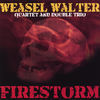 Thumbnail for the Weasel Walter - Firestorm link, provided by host site