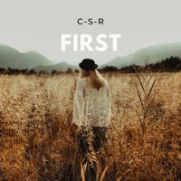 Thumbnail for the CSR - First link, provided by host site