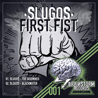 Thumbnail for the Slugos - First Fist link, provided by host site
