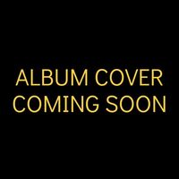 Thumbnail for the Public Image Ltd. - First Issue link, provided by host site