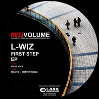 Thumbnail for the L-Wiz - First Step link, provided by host site