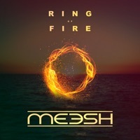 Thumbnail for the Meesh - Fissure link, provided by host site