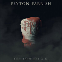 Thumbnail for the Peyton Parrish - Fist Into The Air link, provided by host site