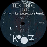 Thumbnail for the Texture - Fiuri link, provided by host site