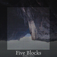 Thumbnail for the Blindspot - Five Blocks link, provided by host site