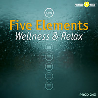 Thumbnail for the Alberto Benati - Five Elements link, provided by host site