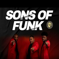 Thumbnail for the Sons Of Funk - Fix It link, provided by host site