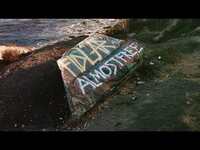Thumbnail for the FIDLAR - Flake link, provided by host site