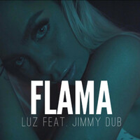 Thumbnail for the Jimmy Dub - Flama link, provided by host site