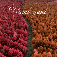 Thumbnail for the Sonorous - Flamboyant link, provided by host site