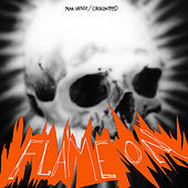 Thumbnail for the Chicks On Speed - Flame On link, provided by host site