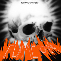 Thumbnail for the Chicks On Speed - Flame On link, provided by host site