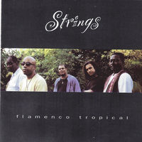 Thumbnail for the Strings - Flamenco Tropical link, provided by host site
