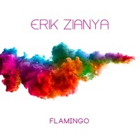 Thumbnail for the Erik Zianya - Flamingo link, provided by host site