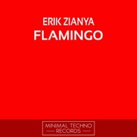 Thumbnail for the Erik Zianya - Flamingo (Jabu Remix) link, provided by host site
