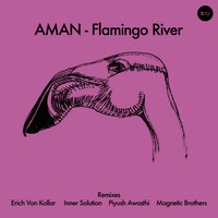 Thumbnail for the Inner Solution - Flamingo River - Inner Solution Remix link, provided by host site