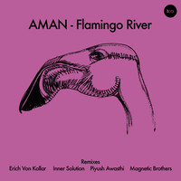 Thumbnail for the Piyush Awasthi - Flamingo River - Piyush Awasthi Remix link, provided by host site
