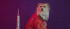Thumbnail for the The Belligerents - Flash link, provided by host site