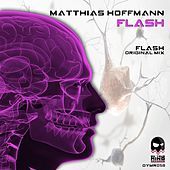 Thumbnail for the Matthias Hoffmann - Flash link, provided by host site
