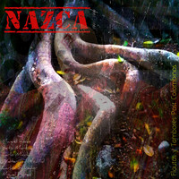 Thumbnail for the Nazca - Flautas y Tambores Post Colombinos link, provided by host site