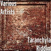 Image of Roundhead linking to their artist page due to link from them being at the top of the main table on this page