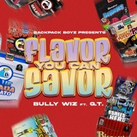 Thumbnail for the Bully Wiz - Flavor You Can Savor link, provided by host site