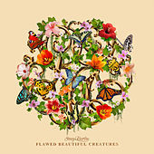 Thumbnail for the Stacy Barthe - Flawed Beautiful Creatures link, provided by host site