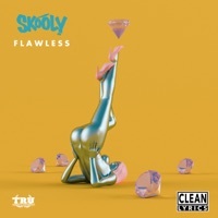Thumbnail for the Skooly - Flawless link, provided by host site