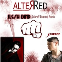 Image of Schroff linking to their artist page due to link from them being at the top of the main table on this page