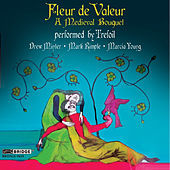 Thumbnail for the Trefoil - Fleur de Valeur: A Medieval Banquet link, provided by host site